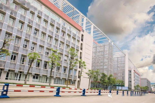 廣東食品藥品職業(yè)學院2021年五年一貫制高職班招生簡章